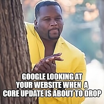 google november 2023 core update meme