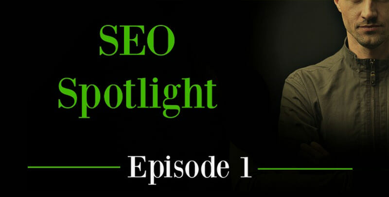 SEO Spotlight