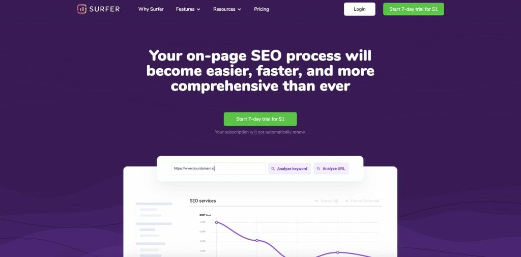 surfer seo homepage snapshot