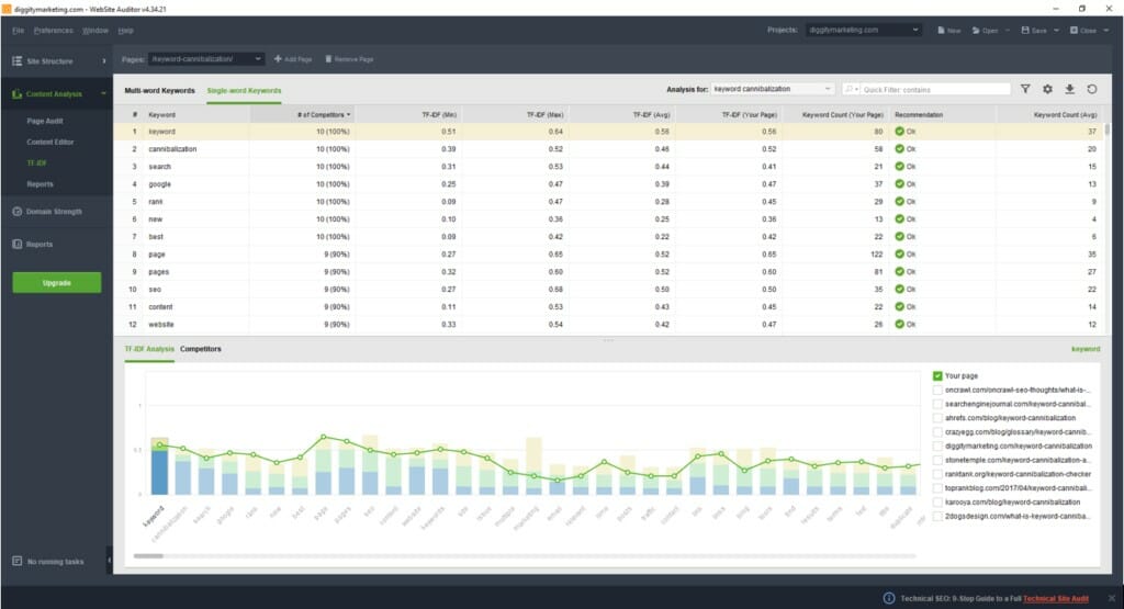 website auditor dashboard